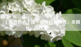 【找合伙人】碰一碰支付新时代，全国招代理