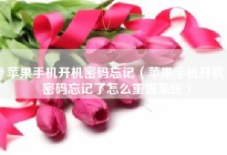 苹果手机开机密码忘记（苹果手机开机密码忘记了怎么重置系统）