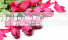 苹果手机开机密码忘记（苹果手机开机密码忘记了怎么重置系统）