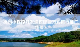 惠州小程序开发通过哪些方式进行推广传播？