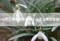 qq怎么绑定密保手机（QQ怎么绑定密保手机号）