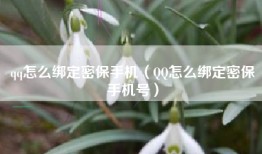 qq怎么绑定密保手机(QQ怎么绑定密保手机号)