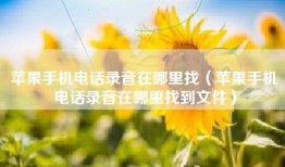 苹果手机电话录音在哪里找（苹果手机电话录音在哪里找到文件）