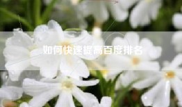 如何快速提高百度排名