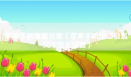 苹果手机电量设置（苹果手机电量设置文字怎么设置）