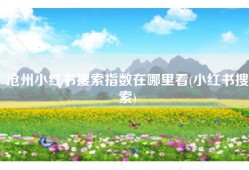 沧州小红书搜索指数在哪里看(小红书搜索)