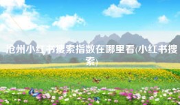 沧州小红书搜索指数在哪里看(小红书搜索)