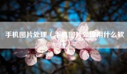 手机图片处理（手机图片处理用什么软件）