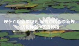 现在百度收录规则 掌握百度收录新规，优化标题20字内秘籍