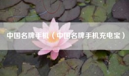 中国名牌手机（中国名牌手机充电宝）