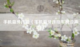 手机蓝牙连接（手机蓝牙连接车机没声音）