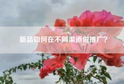 新品如何在不同渠道做推广？
