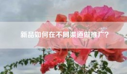 新品如何在不同渠道做推广？