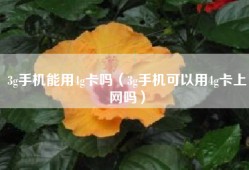 3g手机能用4g卡吗（3g手机可以用4g卡上网吗）