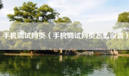 手机调试网页（手机调试网页怎么设置）