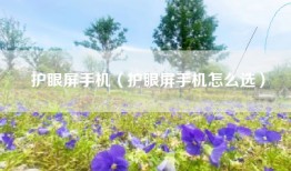 护眼屏手机（护眼屏手机怎么选）