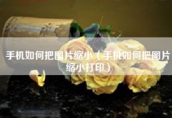 手机如何把图片缩小（手机如何把图片缩小打印）