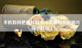 手机如何把图片缩小（手机如何把图片缩小打印）