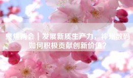 聚焦两会｜发展新质生产力，神州数码如何积极贡献创新价值？