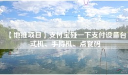 【地推项目】支付宝碰一下支付设备台式机、手持机、点餐码