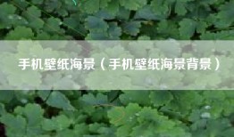手机壁纸海景（手机壁纸海景背景）