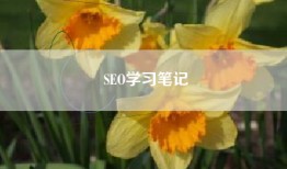 SEO学习笔记