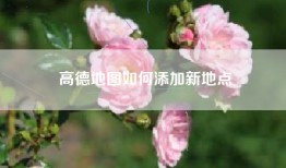 高德地图如何添加新地点