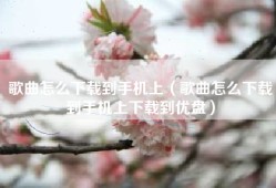 歌曲怎么下载到手机上（歌曲怎么下载到手机上下载到优盘）