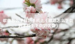 歌曲怎么下载到手机上（歌曲怎么下载到手机上下载到优盘）