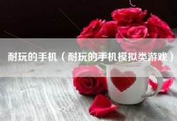耐玩的手机（耐玩的手机模拟类游戏）