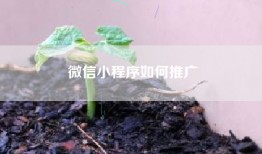 微信小程序如何推广