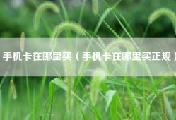 手机卡在哪里买（手机卡在哪里买正规）