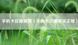 手机卡在哪里买（手机卡在哪里买正规）