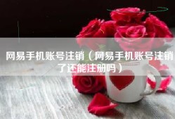 网易手机账号注销（网易手机账号注销了还能注册吗）