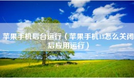 苹果手机后台运行（苹果手机13怎么关闭后应用运行）