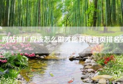 网站推广应该怎么做才能获得首页排名？