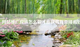 网站推广应该怎么做才能获得首页排名？