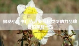 揭秘小红书广告，多样化类型助力品牌营销策略一览