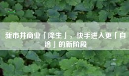 新市井商业「降生」，快手进入更「自洽」的新阶段