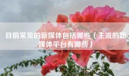 目前常见的新媒体包括哪些（主流的新媒体平台有哪些）