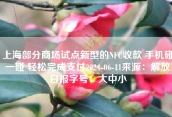 上海部分商场试点新型的NFC收款 手机碰一碰 轻松完成支付2024-06-11来源：解放日报字号：大中小
