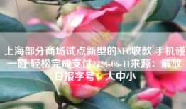 上海部分商场试点新型的NFC收款 手机碰一碰 轻松完成支付2024-06-11来源：解放日报字号：大中小