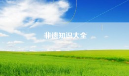 非遗知识大全