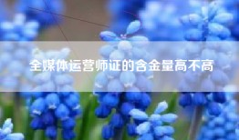 全媒体运营师证的含金量高不高
