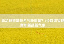 新品缺流量缺名气缺销量？4步教你实现新年新品新气象