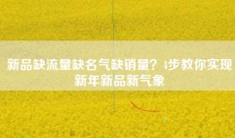 新品缺流量缺名气缺销量？4步教你实现新年新品新气象