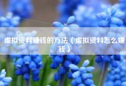 虚拟资料赚钱的方法（虚拟资料怎么赚钱）