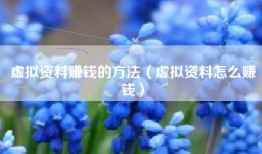 虚拟资料赚钱的方法（虚拟资料怎么赚钱）