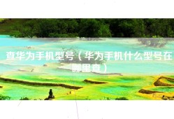 查华为手机型号（华为手机什么型号在哪里查）