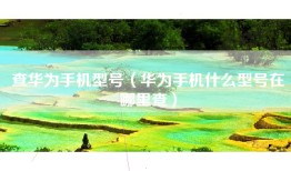 查华为手机型号（华为手机什么型号在哪里查）